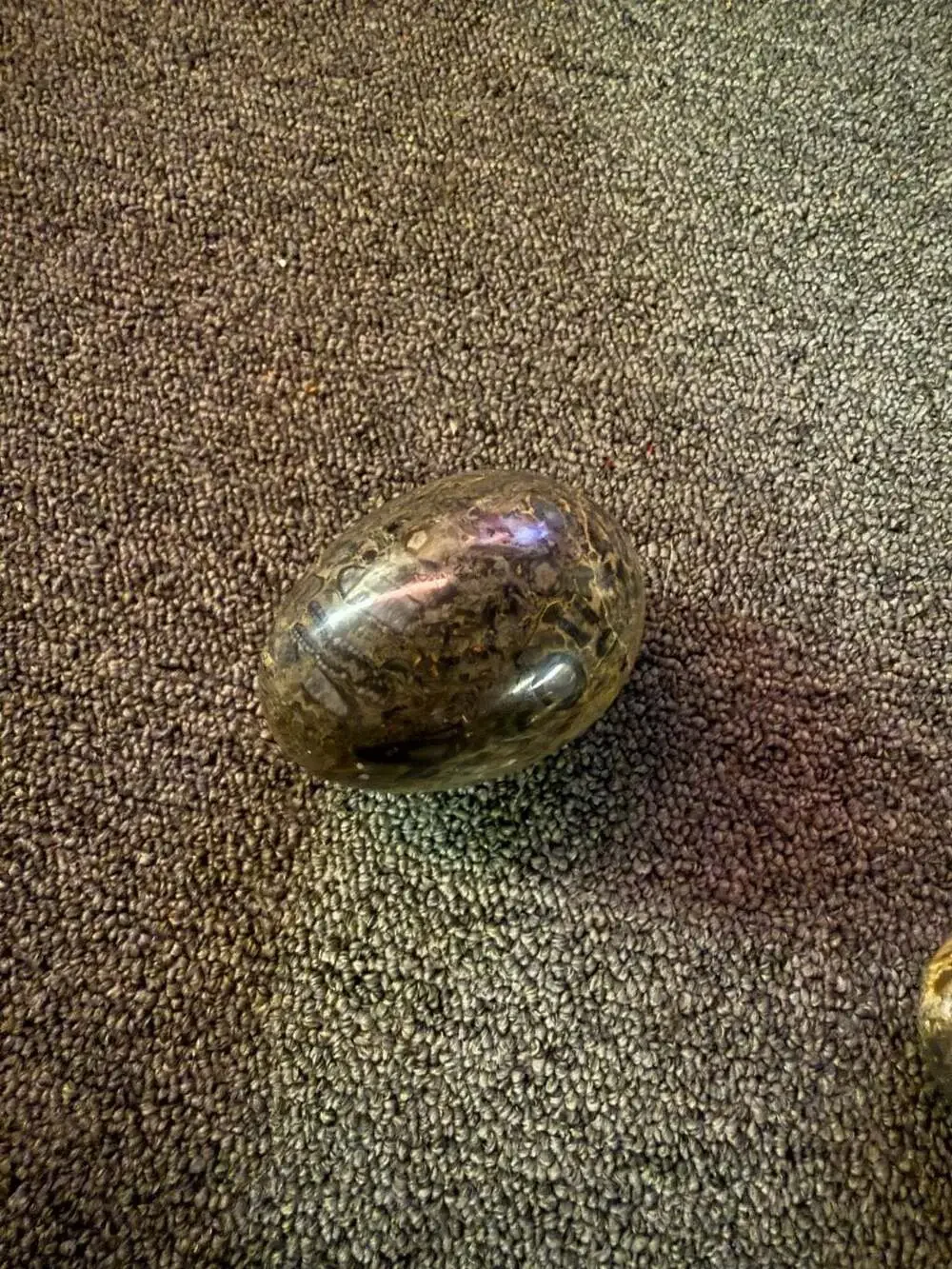 Set of Two Polished Orthoceras Fossil Marble Eggs